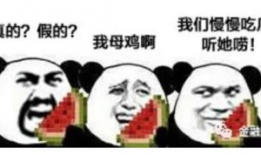 吃瓜哥往期爆料图,一场视觉盛宴的回顾