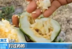 平邑吃瓜最新事件爆料,揭秘背后惊人真相，网络热议持续升温